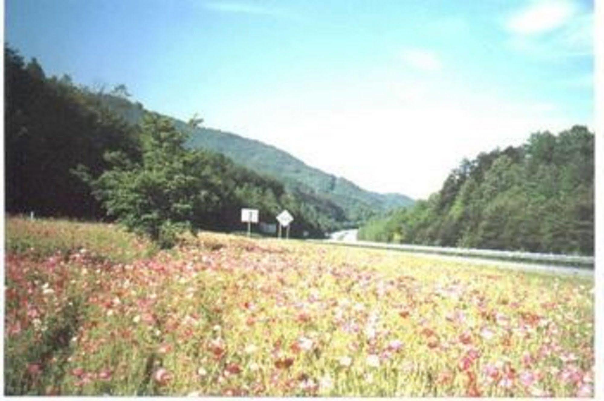 Riverbend Lodging Bryson City Eksteriør billede